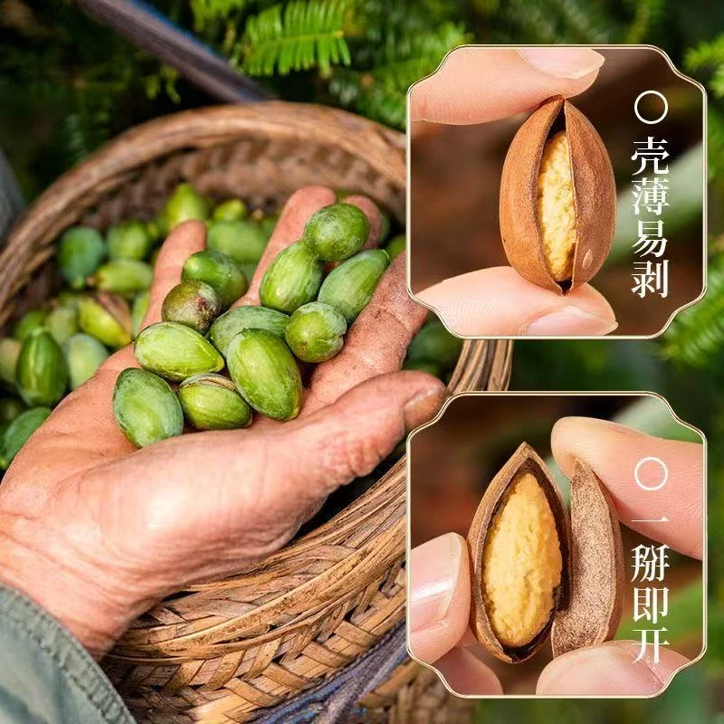 25年新货开口老树香榧子诸暨枫桥嵊州特产正宗食盐炒制500g