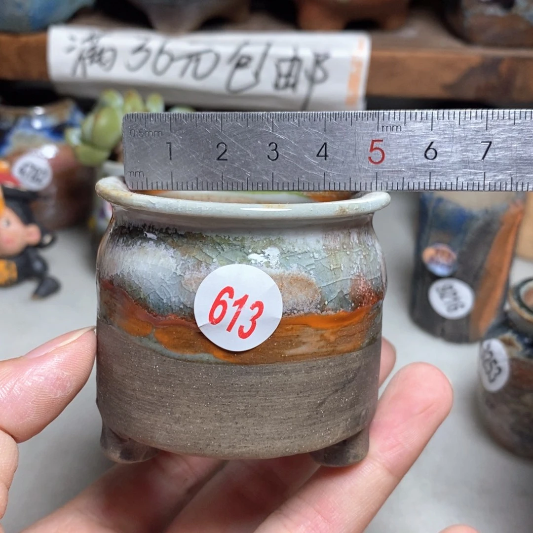 拍5送一个小礼物