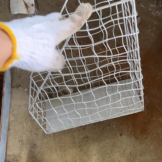 哈哈哈哈可可爱爱哈哈