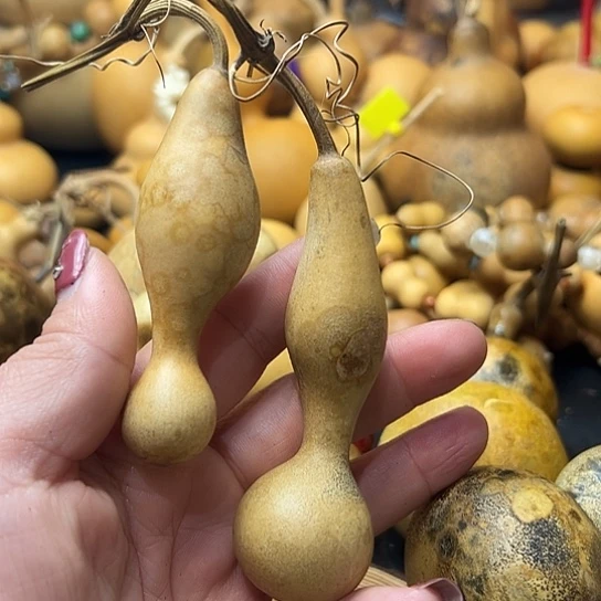 小*葫芦葫芦葫芦葫芦