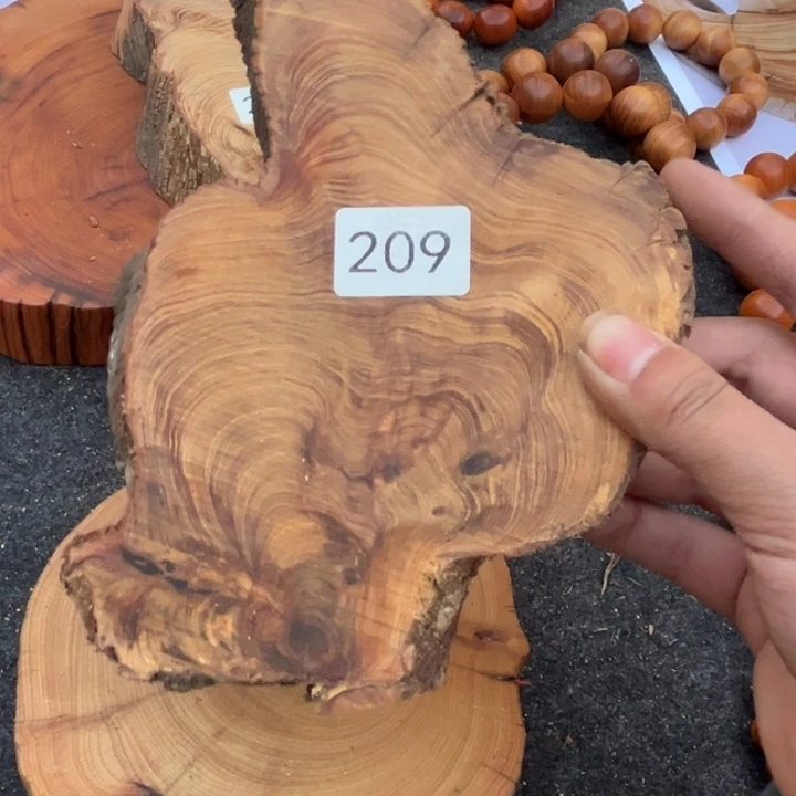 柏木南太行崖柏切片