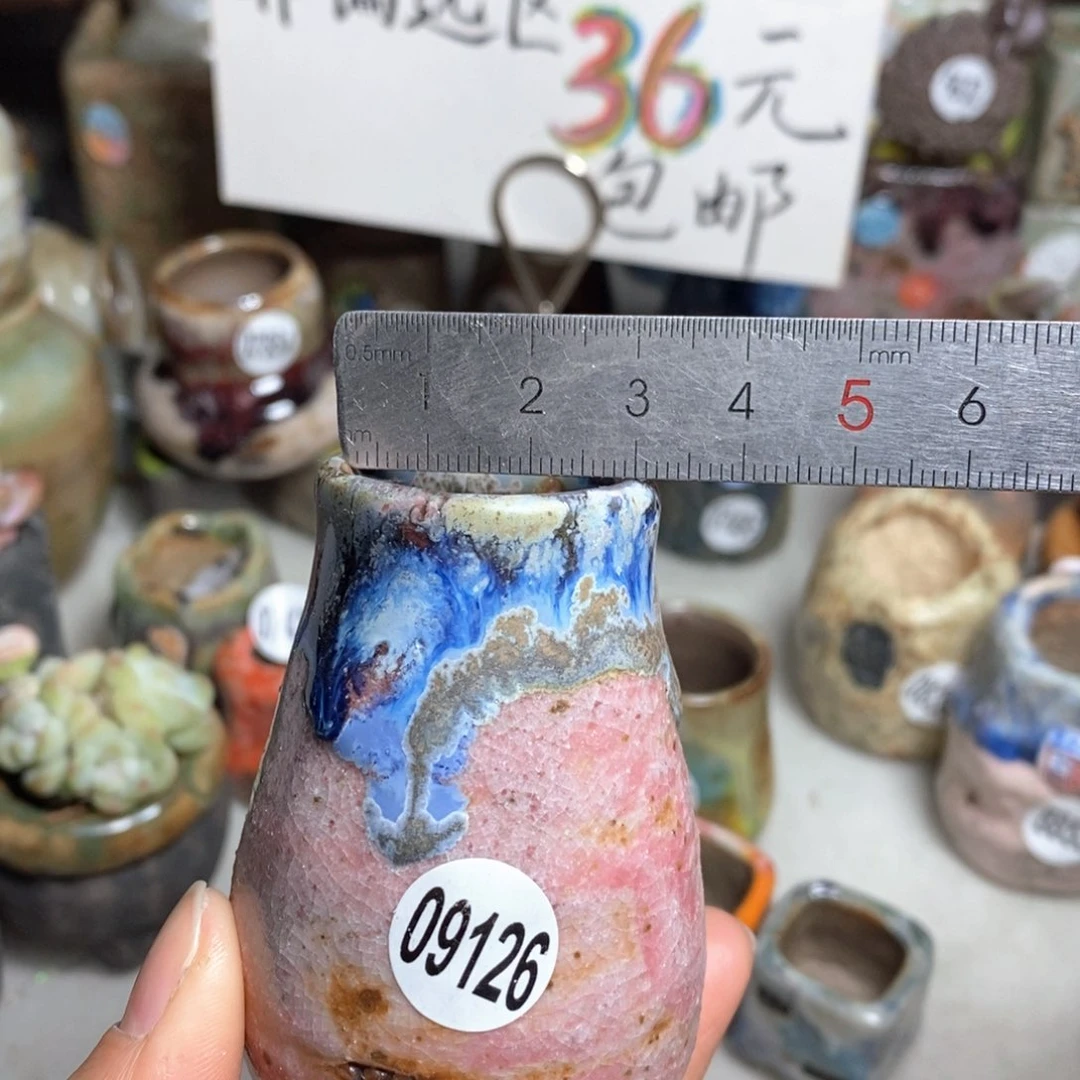 花盆拍5送一个小礼物