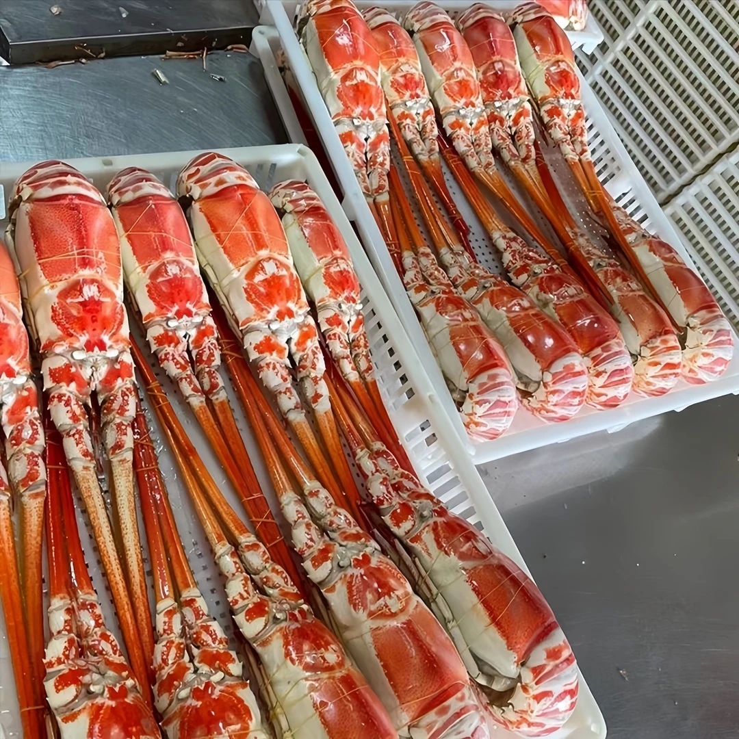 北部湾野生红龙深海液氮活冻（顺丰发货）