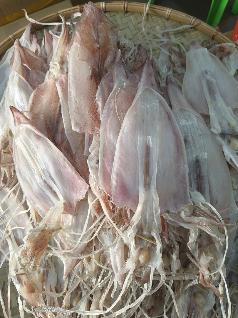 6-7个 特大号本港鱿鱼