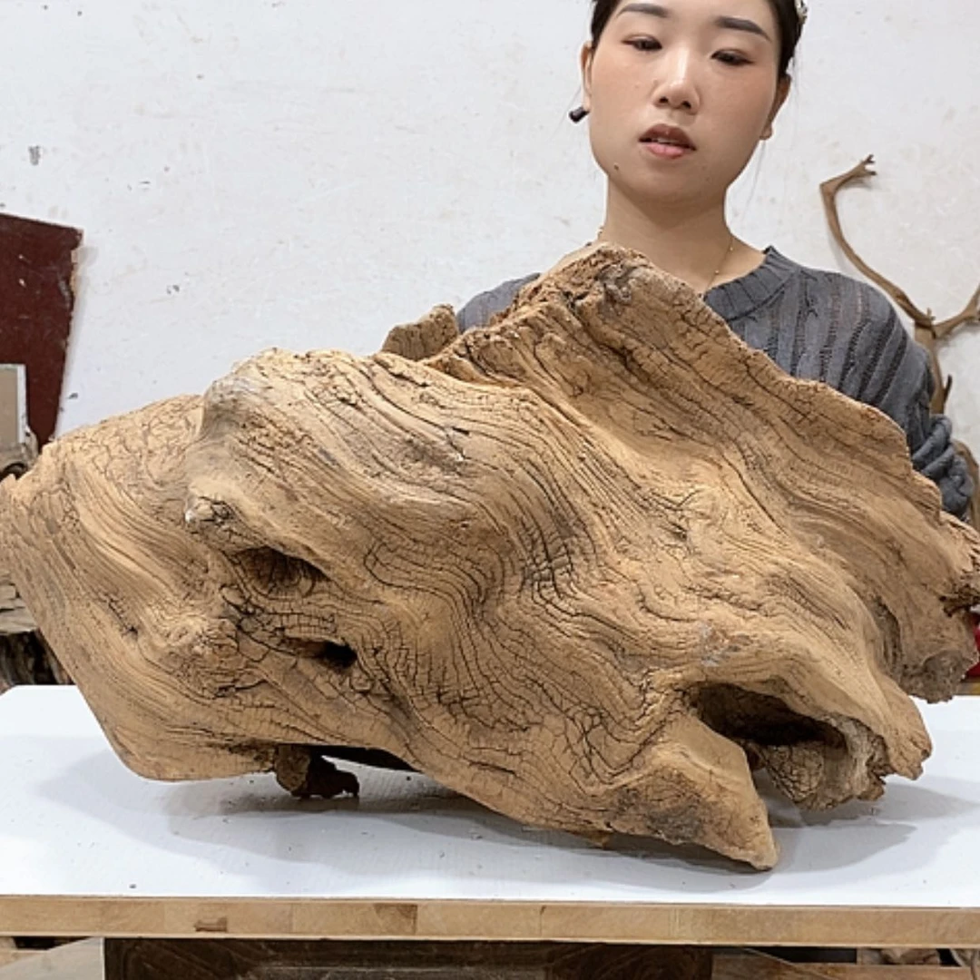 【闪购商品】柏木D*我们都是好孩子