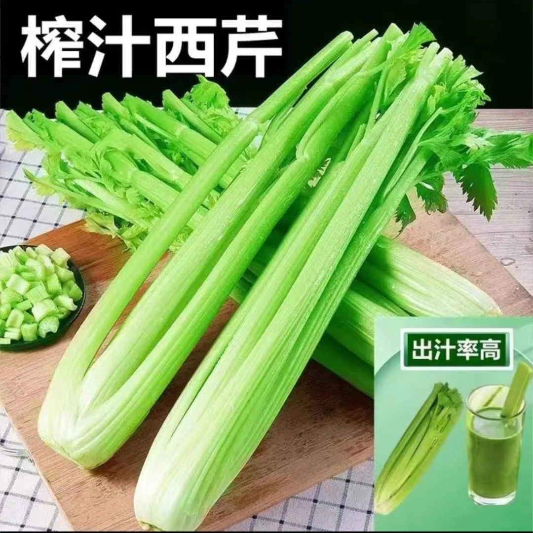 【顺丰包邮】山东新鲜西芹芹菜榨汁农家自种绿色嫩芯青菜脆嫩5斤