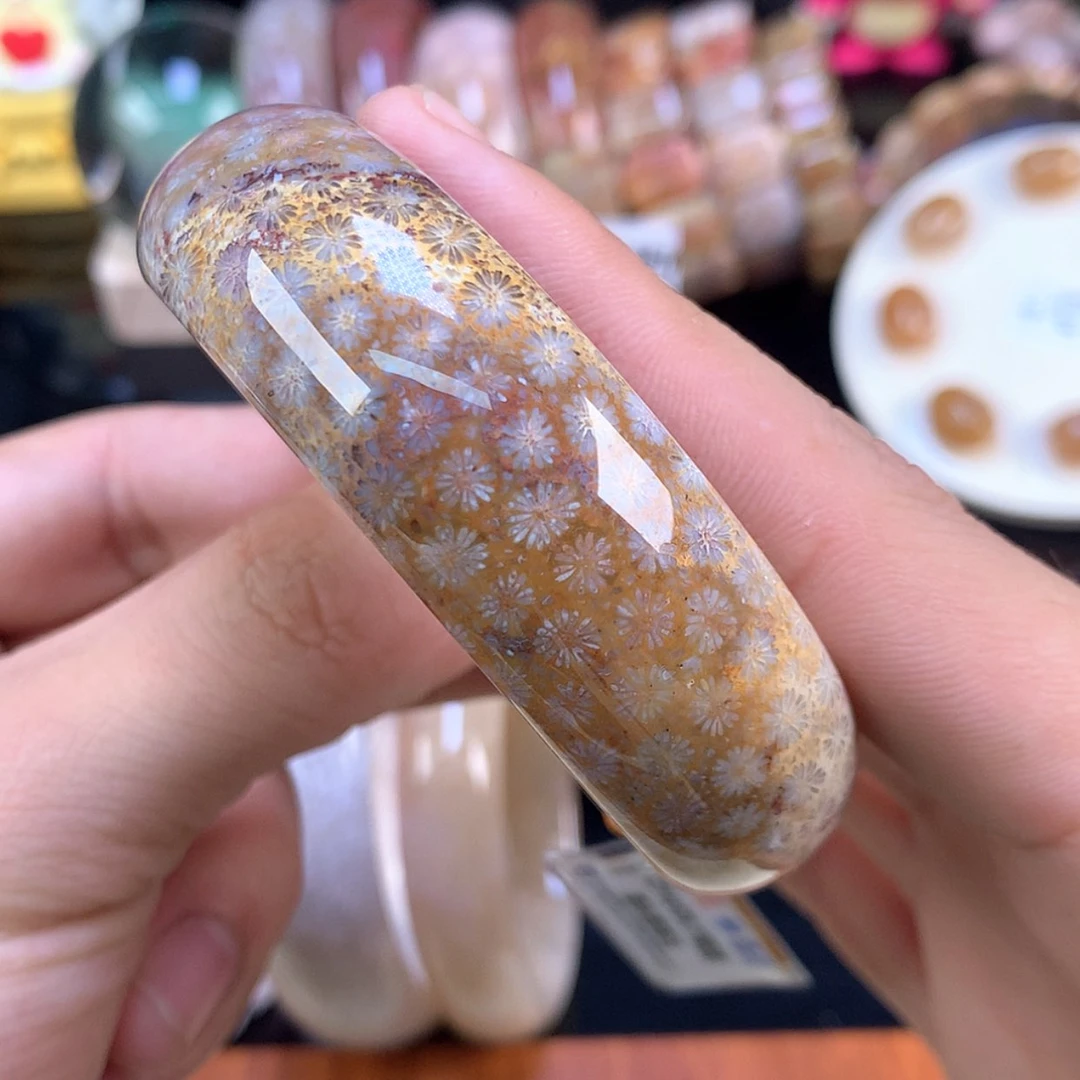 【闪购商品】未镶嵌手镯硅化珊瑚（珊瑚玉）101号58.4圈蓝心雏菊