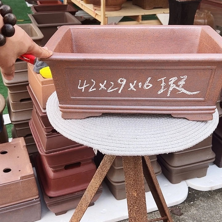 紫砂花盆紫砂花是