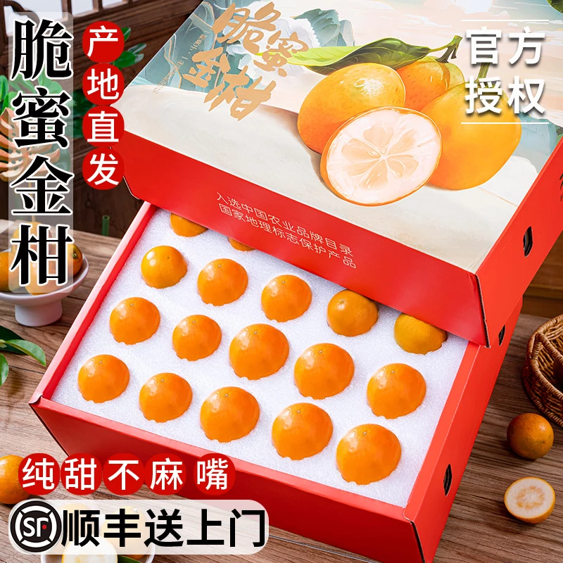 【顺丰包邮】融安脆蜜金柑第三代金桔纯甜高端新鲜水果皮薄现摘礼盒