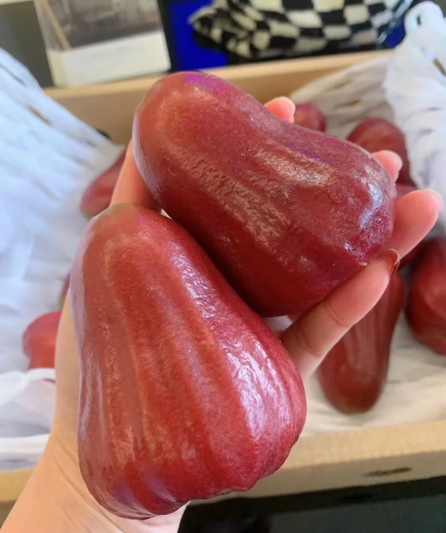 黑金刚莲雾（份两个）