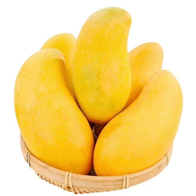 新疆内蒙古不发货。因为物流问题。