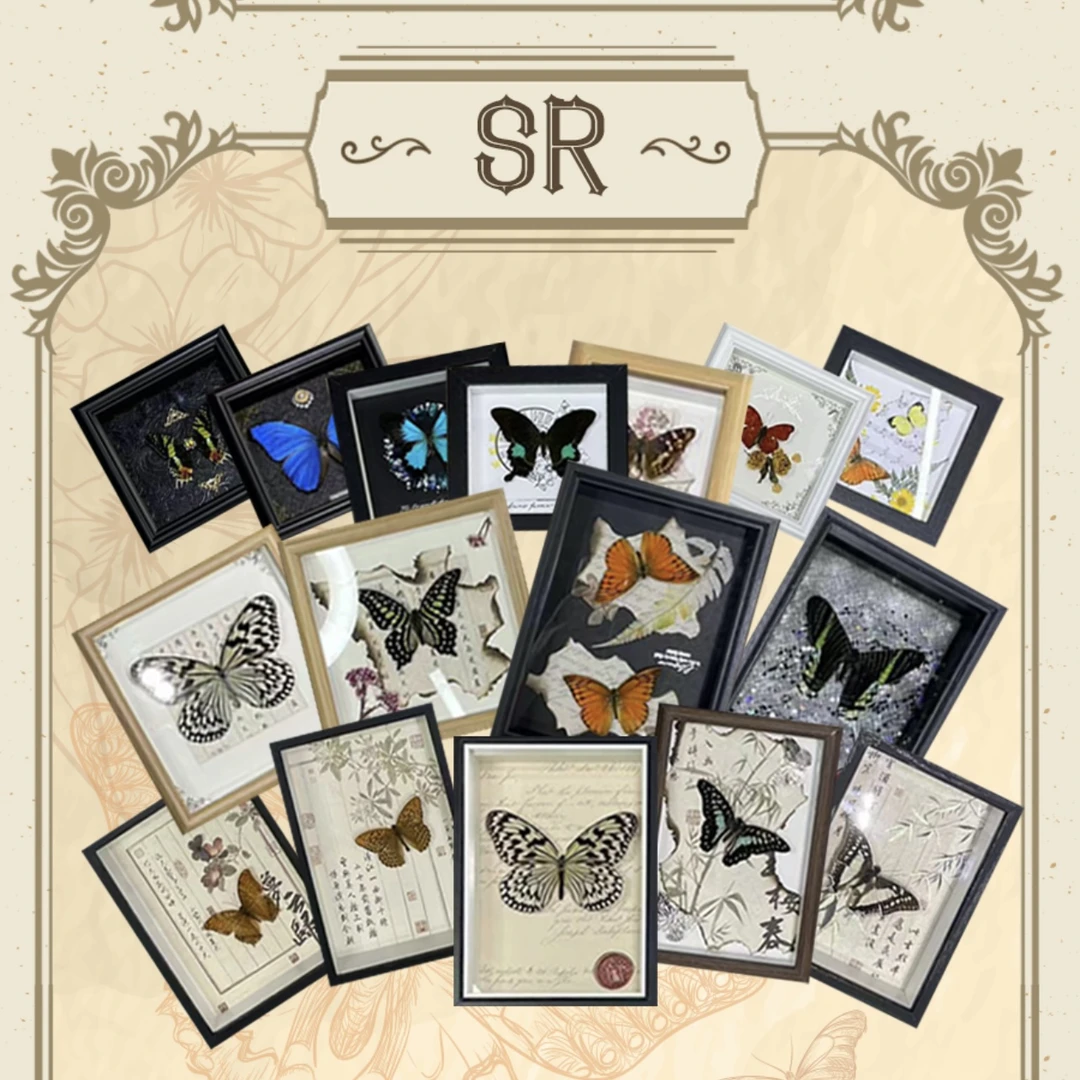 造物集工作室破茧成蝶系列动漫卡牌