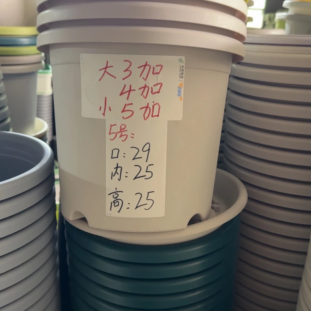 四季5#口径29无拖灰白10个