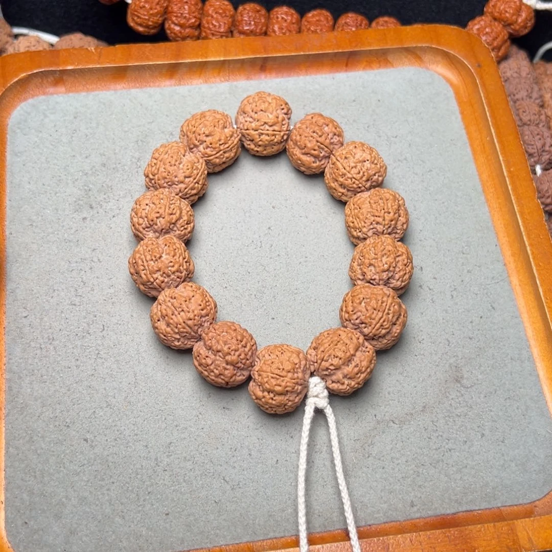 菩提8号金刚菩提爆肉梅花22