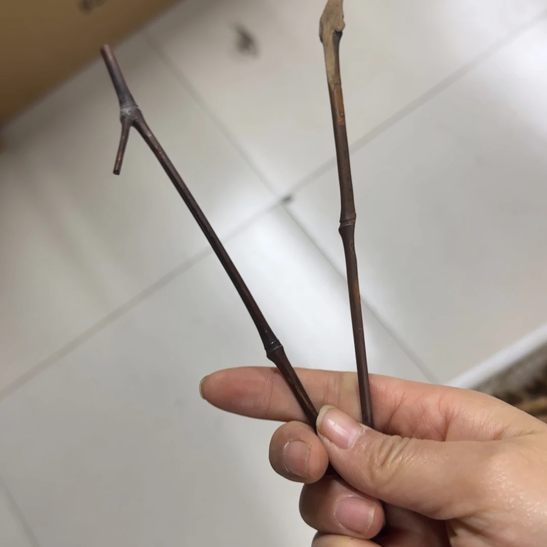 竹制品特价包邮秒杀9.9