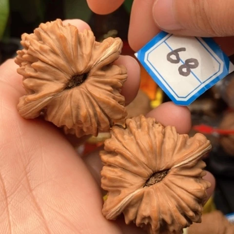 文玩核桃吊坠蓟县楼43