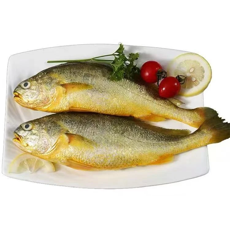 新鲜海捕正宗大黄鱼 过年必备未清理整条鱼 4条 一条400-450g