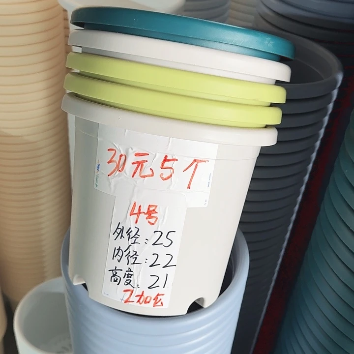 四季4#口径25灰白10个无托