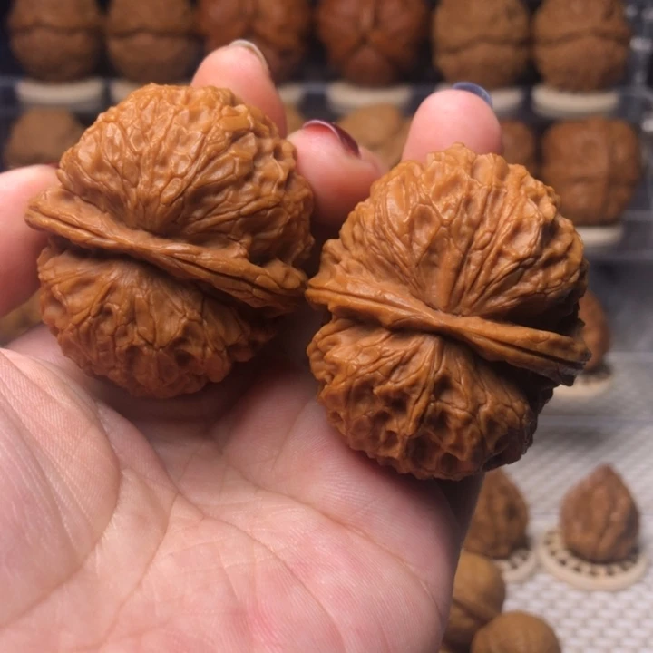 文玩核桃把件35浪蝶纹狮子头45尺