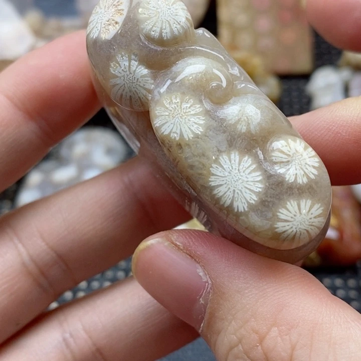 硅化珊瑚（珊瑚玉）颈饰未镶嵌