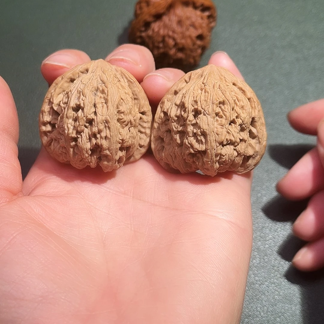 核桃涞水山地果承德密纹全品