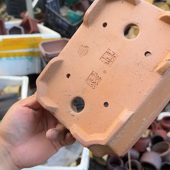 一哈来不急不快嘛亲爱你