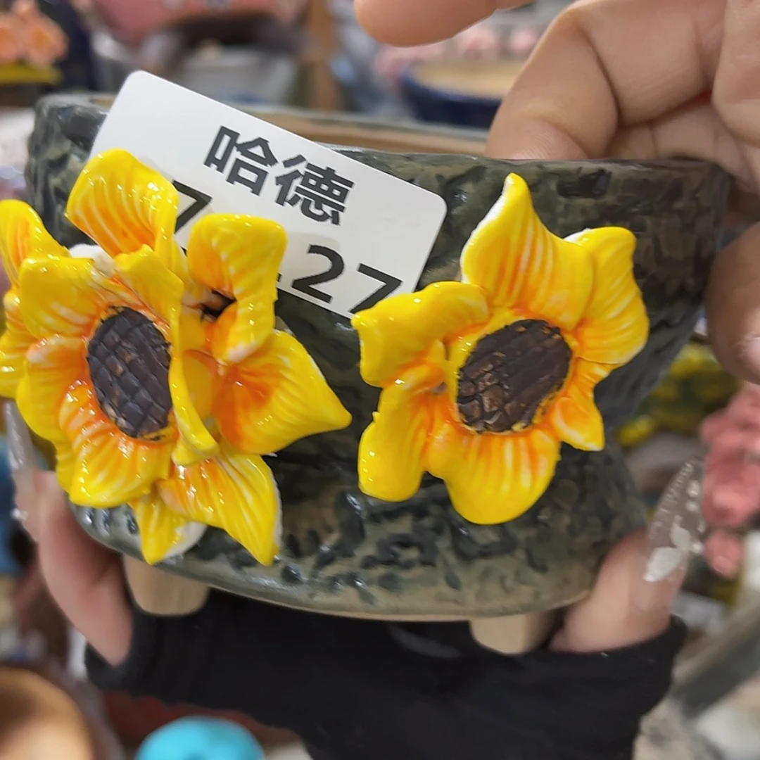 【闪购商品】红陶瑕疵17127