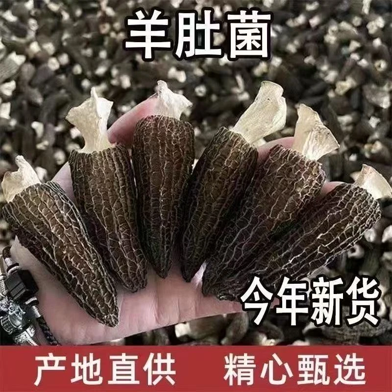 高山羊肚菌干货足干度日晒煲汤食材特产鲜美可口