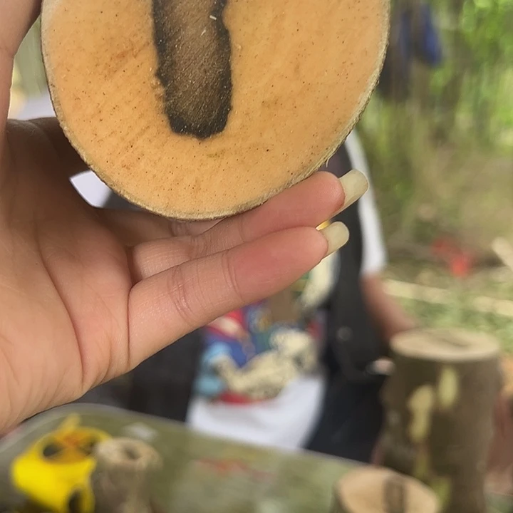 线香奇楠沉香原木