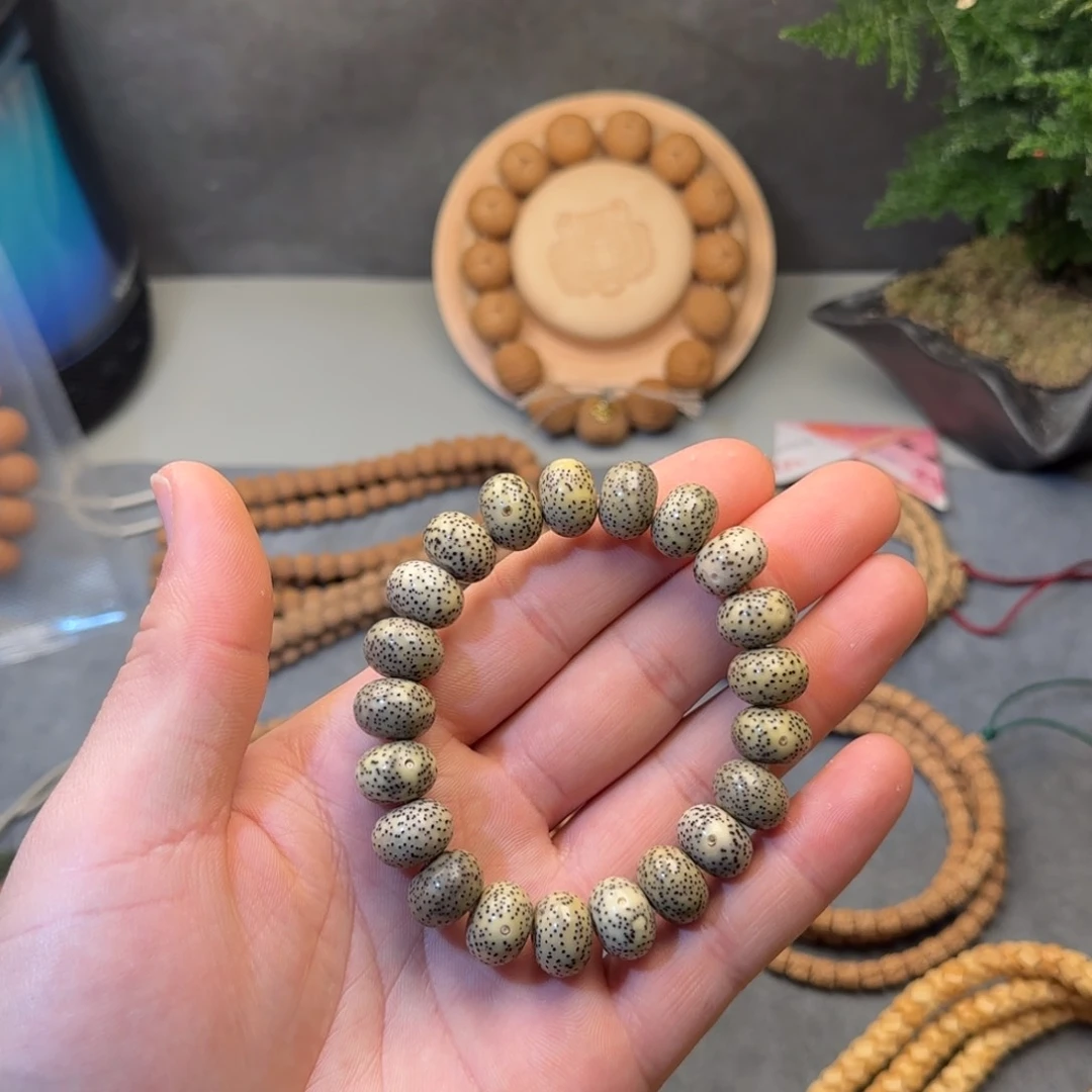 柏香籽/百香籽吊坠星月菩提