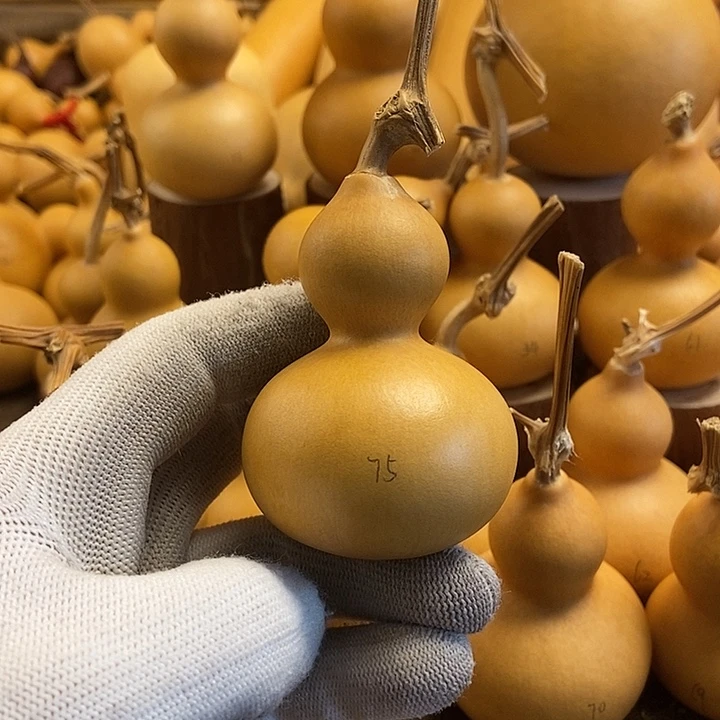 文玩葫芦 完美主义者 慎拍75