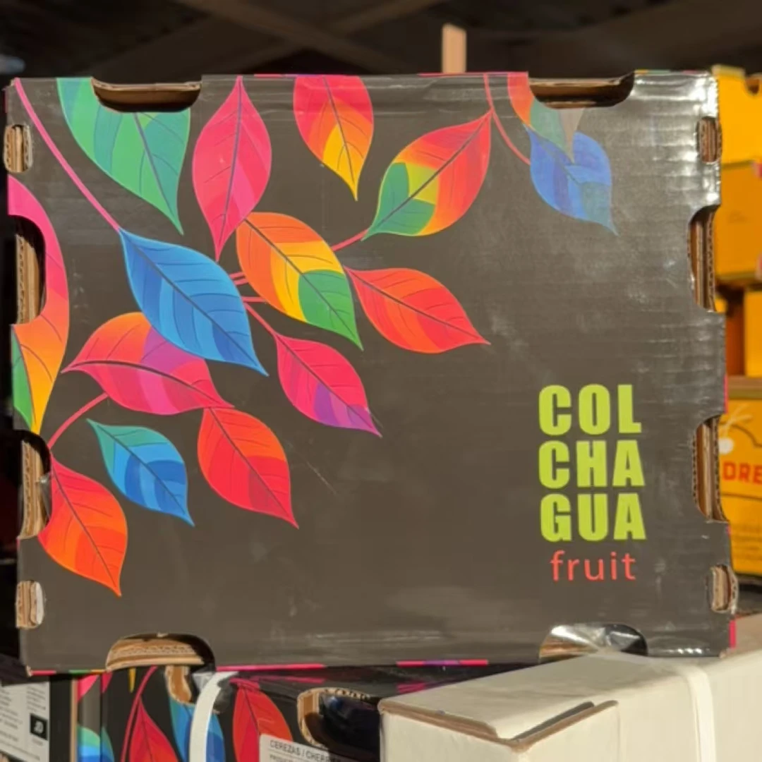 【果然好】车厘子智利空运车厘子新鲜原箱车厘子J包邮G内附果径卡