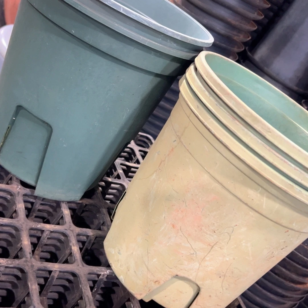 绿色加仑盆22-24口径 5个