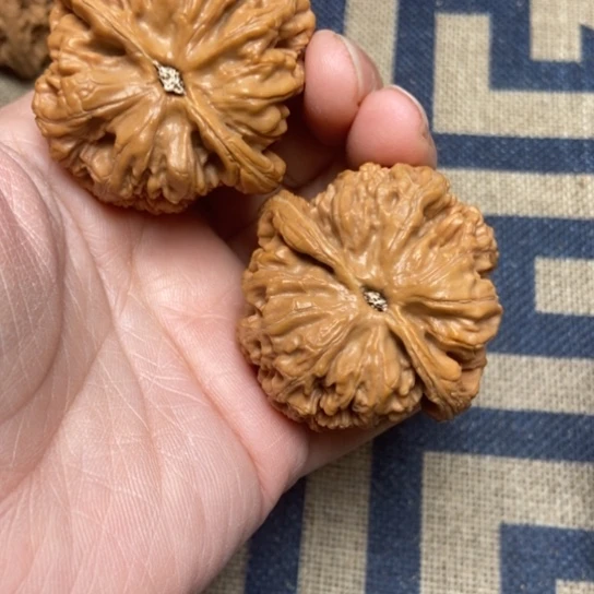 吊坠文玩核桃粗筋全品44