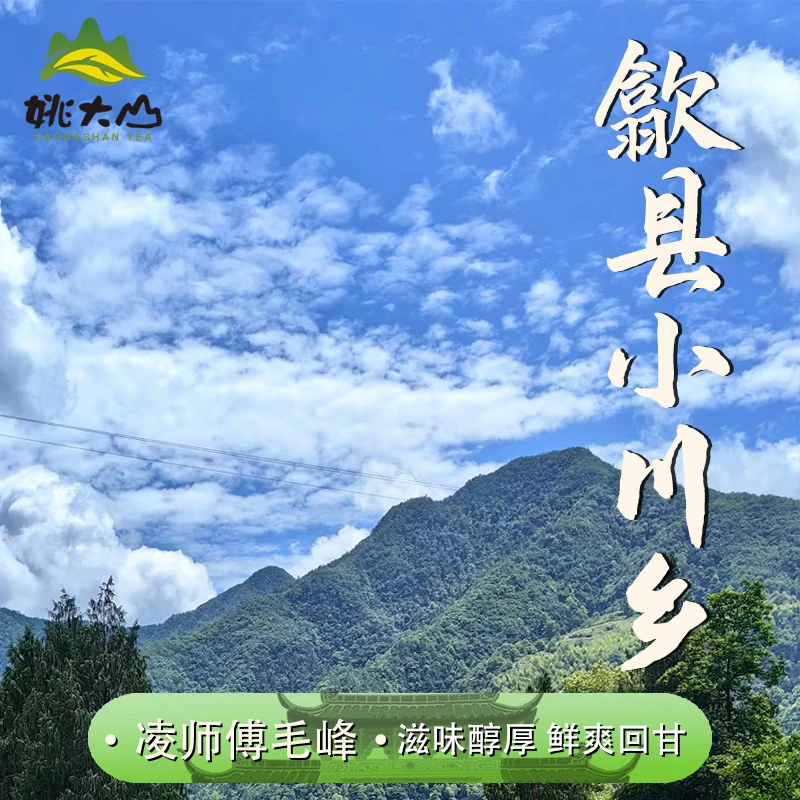 【姚大山】凌师傅毛峰  一级 绿茶茶叶  醇厚回甘