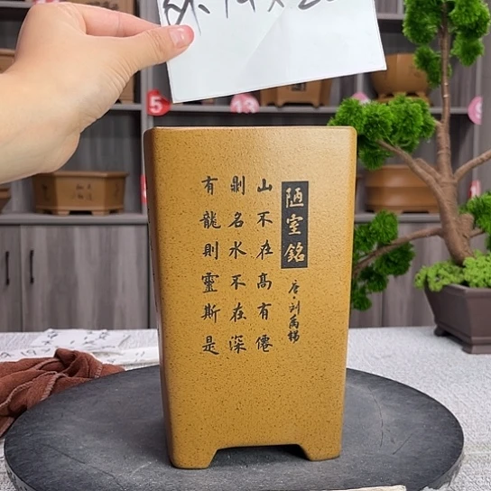 紫砂花盆紫砂第一