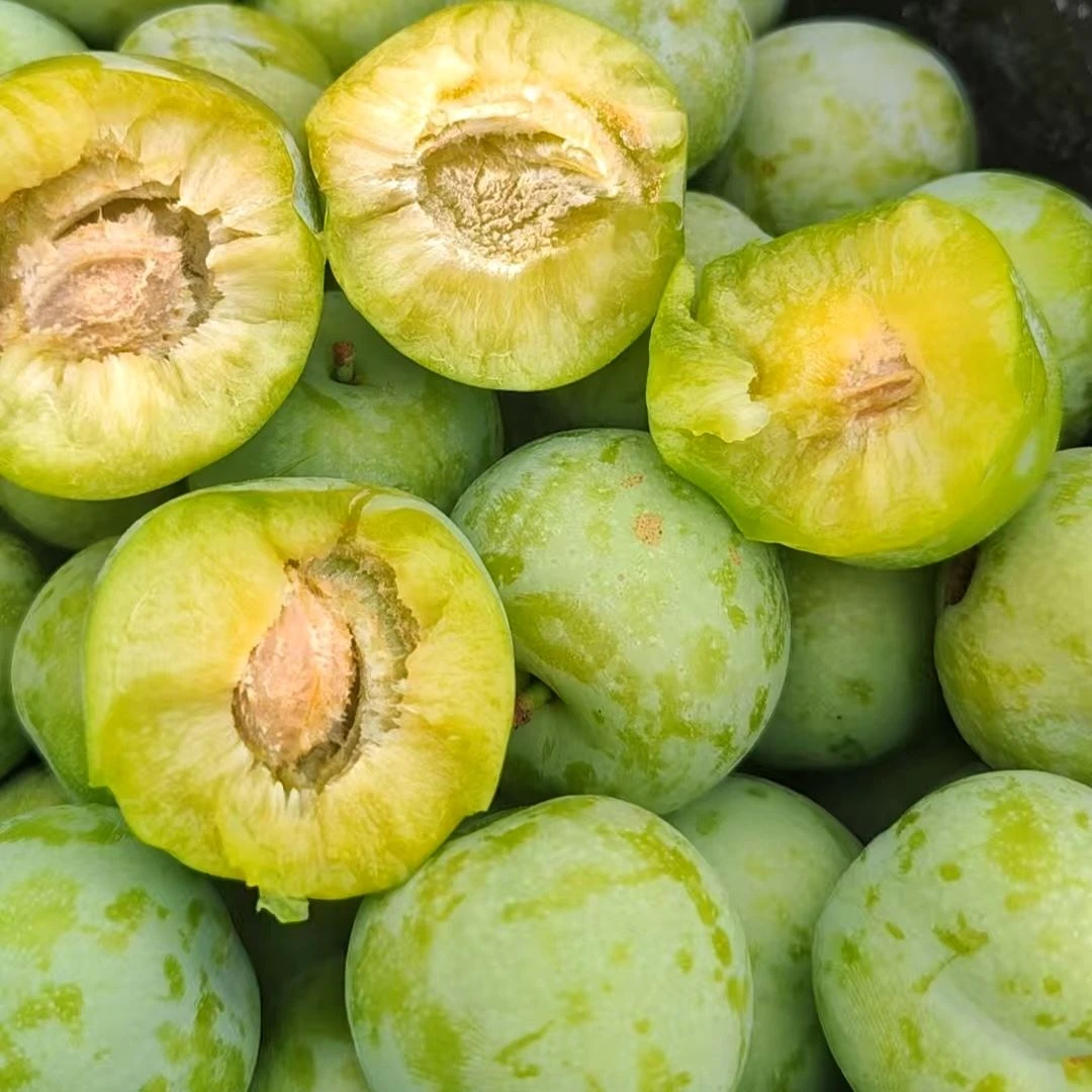 正宗脱骨李子贵州青脆李高山农家土李子六马冰脆李孕妇酸甜水果