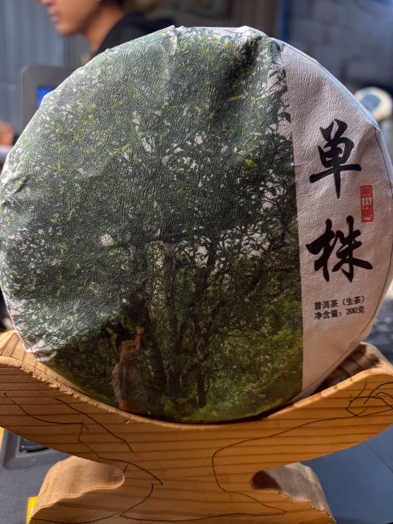 2023年古树单株纯料普洱茶生普头春采制口感甘甜200g