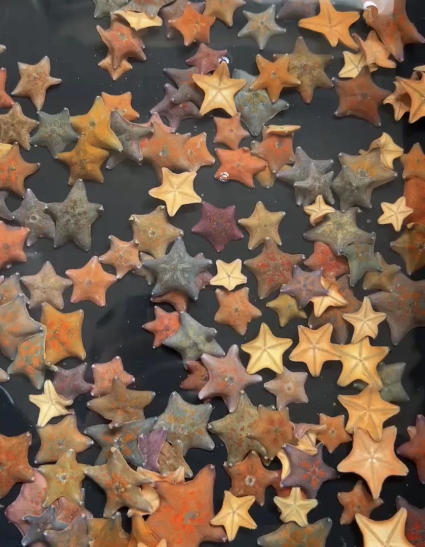 桌面萌宠海燕海星