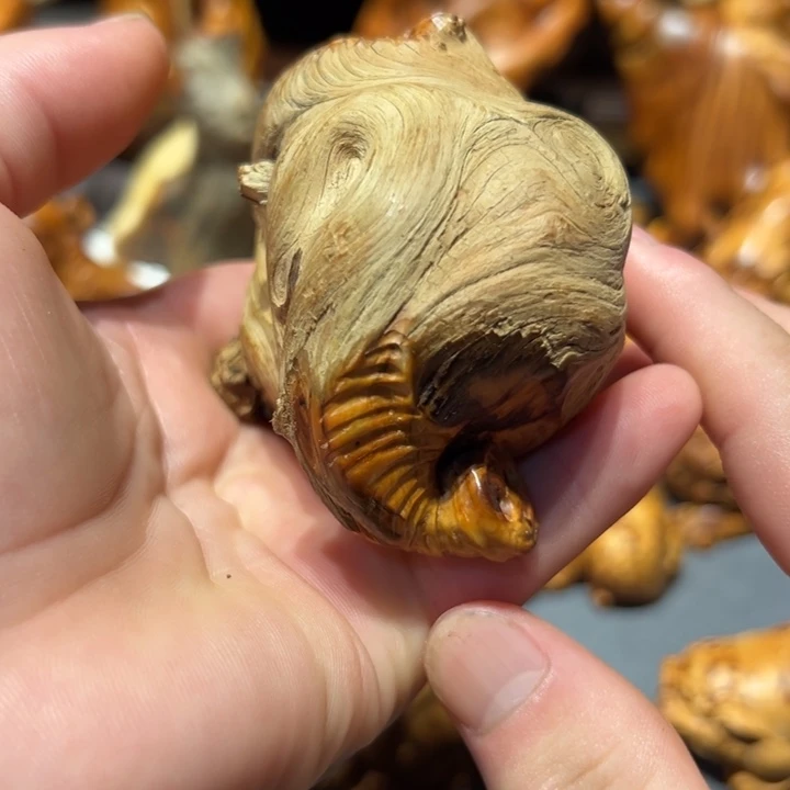 柏木（崖柏）点点关注，感恩分享