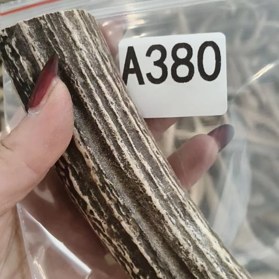 与***伍鹿角鹿角鹿角鹿角鹿角