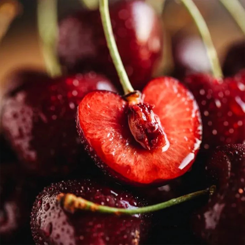 【小璐专属】智利进口车厘子海运桑提娜J-JJJJ5斤装 内附果径卡