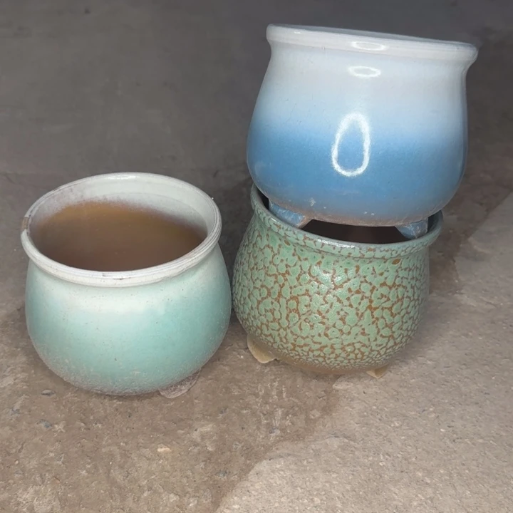 瑕疵花盆处理啦口14高15（两个绿的