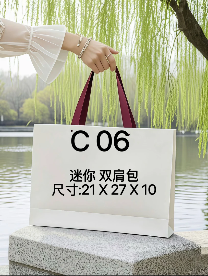 C06迷你 双肩包 单肩斜挎休闲女包冬季新款