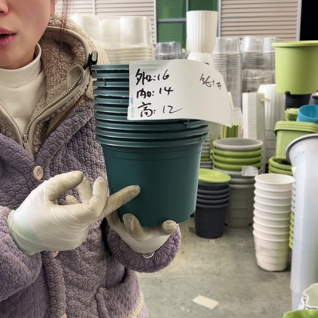 瑕疵矮胖1#墨绿20个无托