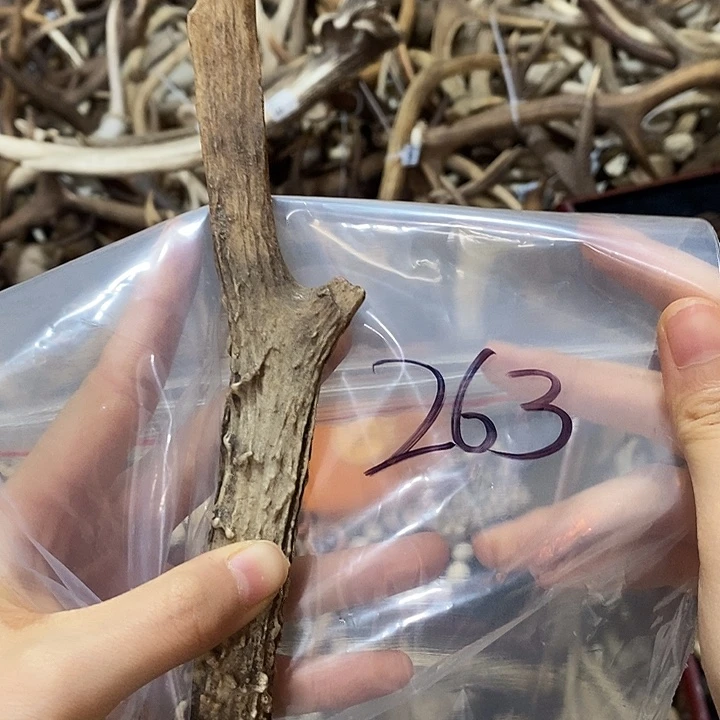 微瑕鹿角鹿角鹿角鹿角鹿角鹿