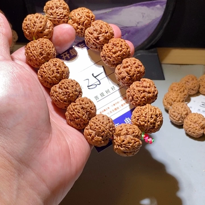 手串金刚菩提351号尺寸23龙爪梅花