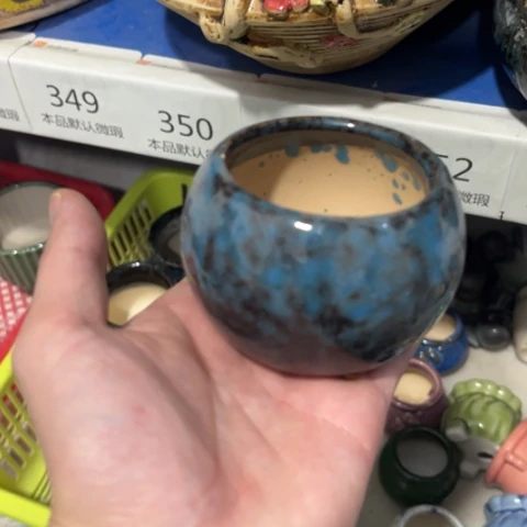 ［所有订单凑满15包邮］6+5