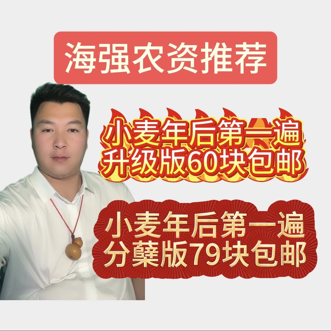 小麦年后第一遍十亩地营养液包邮