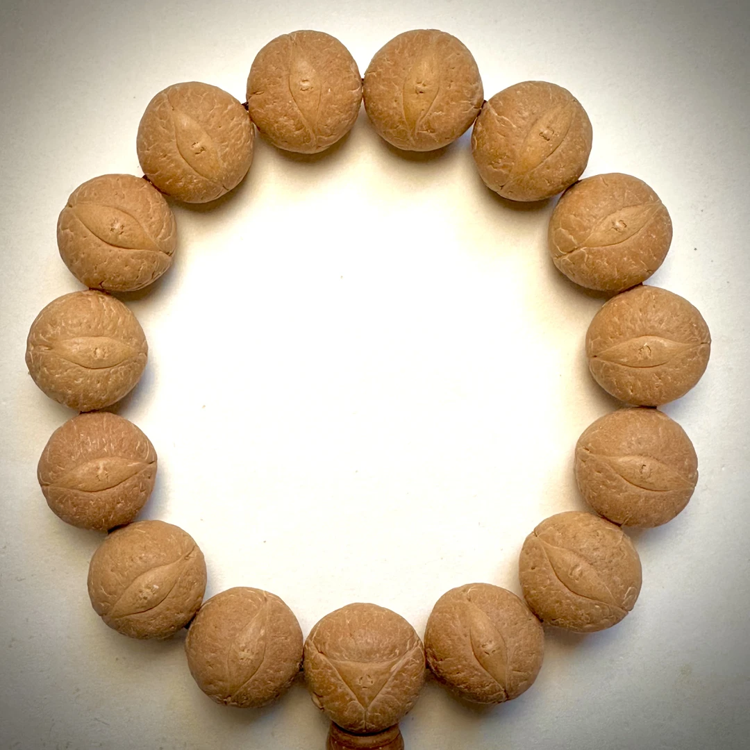 喜鹊7号17.5mm，14颗，编号131超大尺寸尼泊尔凤眼菩提一物一图